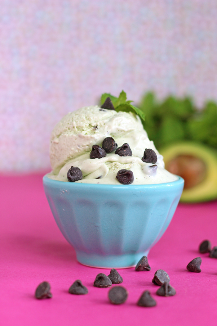 This dairy free creamy Mint Chocolate Chip Ice Cream is the perfect combination of fresh mint and chocolate that sure to cool you right off this summer.