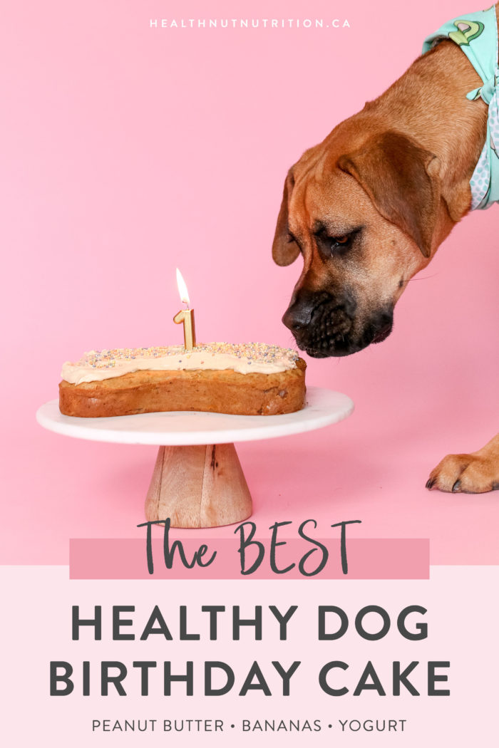 The Best Healthy Dog Cake that is perfect to make for any pawty! Made with all-natural ingredients like oats, peanut butter, and banana, your puppy will be sure to LOVE every bite!