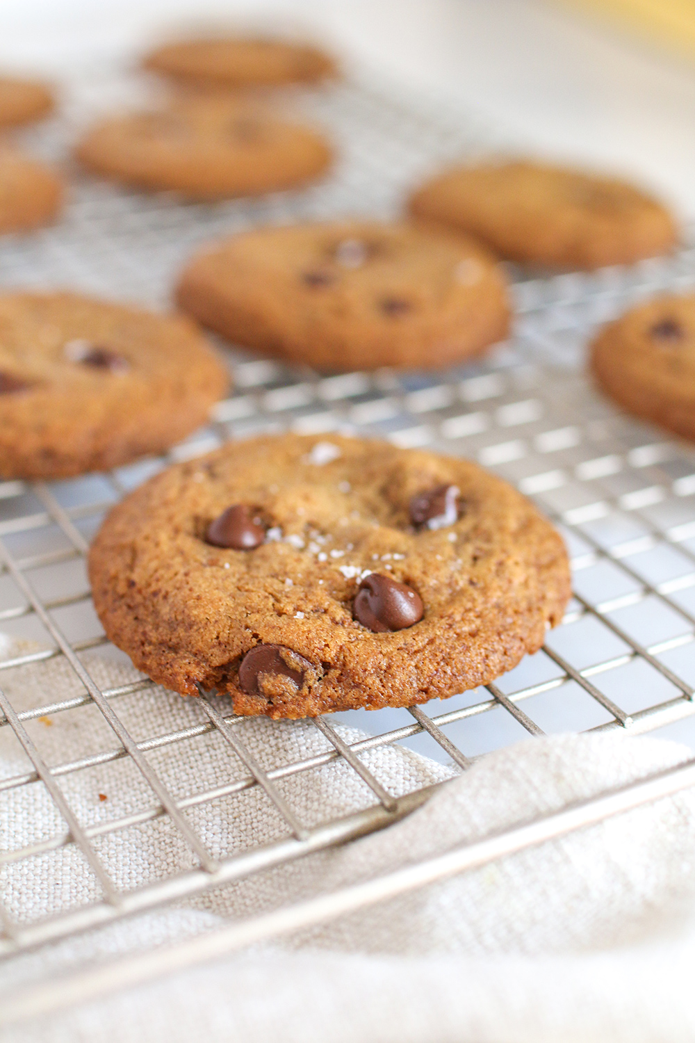 a close up of chocolate chip cookies on a wire cooling rack