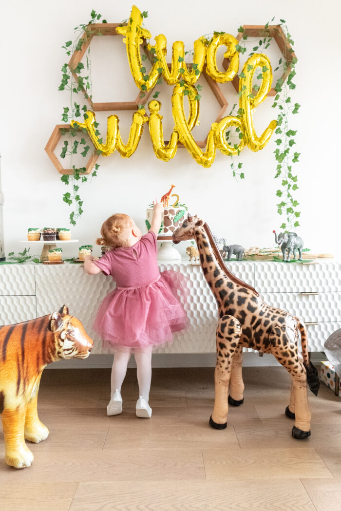 girl's two wild safari birthday party